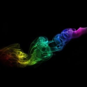 Meet your Posher, Jayla